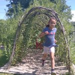phoca_thumb_m_veverky olymp.beh  1 Fotogalerie